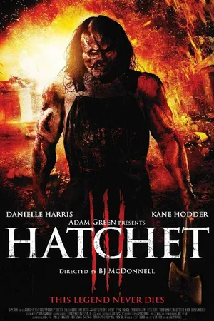 Постер к фильму Топор 3 (2013)
