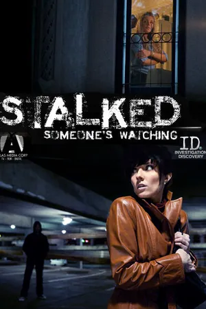 Постер к сериалу Преследование: За вами кто-то следит (2011)