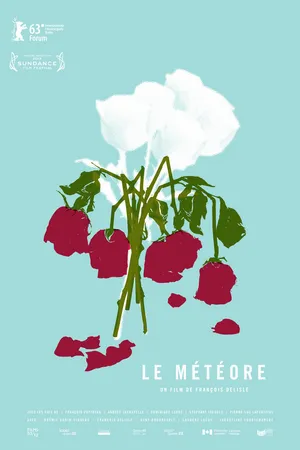 Постер к фильму Метеор (2013)