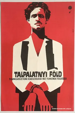 Постер к фильму Пядь земли (1948)