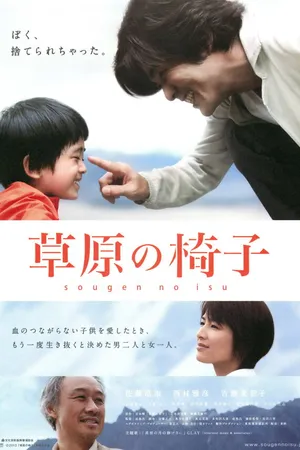 Постер к фильму Стул на лугу (2013)