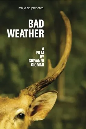 Постер к фильму Дурная погода (2011)