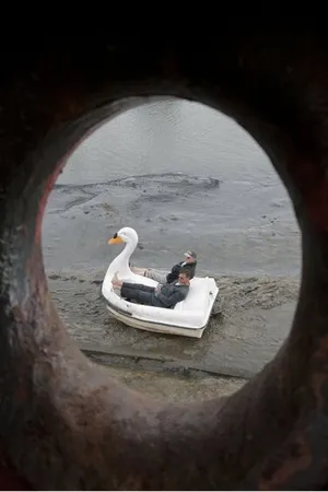 Постер к фильму Swandown (2012)