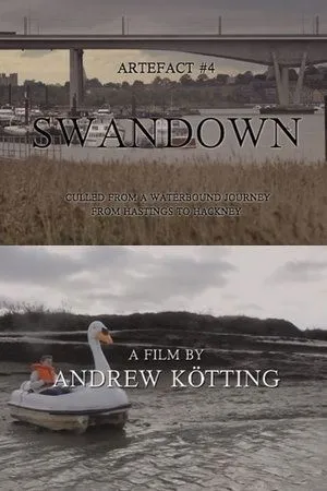 Постер к фильму Artefact #4 Swandown (2012)