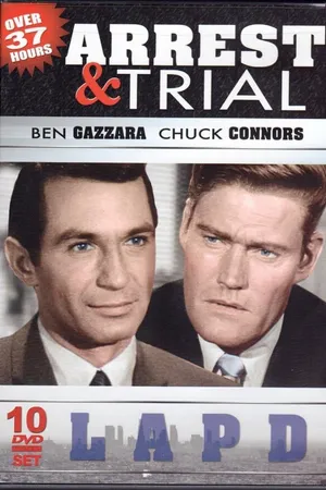 Постер к сериалу Арест и судебное разбирательство (1963 - 1964)
