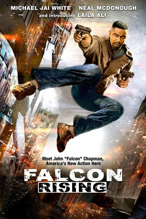 Постер к фильму Восхождение Сокола (2013)