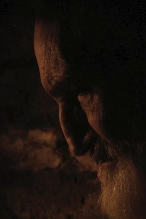 Постер к фильму Resistente (2012)