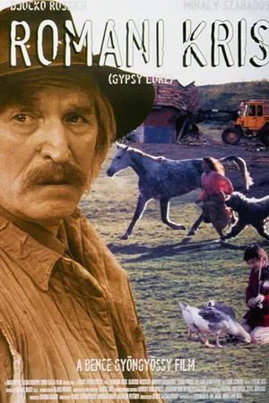 Постер к фильму Цыганский закон (1997)