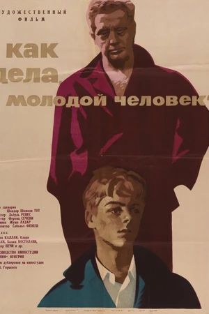 Постер к фильму Как дела, молодой человек? (1963)