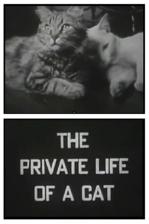 Постер к фильму Личная жизнь кота (1946)