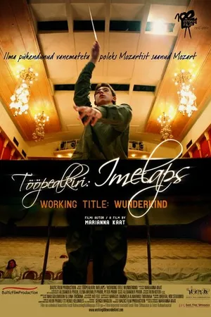 Постер к фильму Временно вундеркинд (2012)