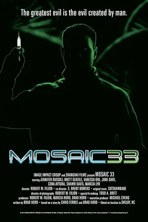 Постер к фильму Mosaic 33 (2013)