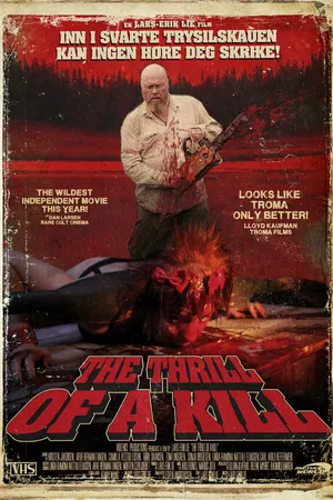 Постер к фильму Боязнь убийства (2011)