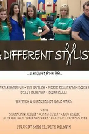 Постер к фильму A Different Stylist (2012)