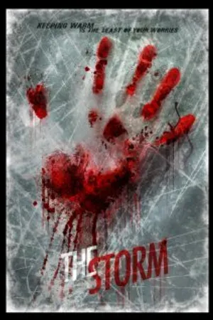 Постер к фильму The Storm (2013)
