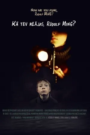 Постер к фильму Как дела, Рудольф Минг? (2010)