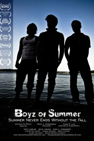 Постер к фильму Мальчики лета (2012)