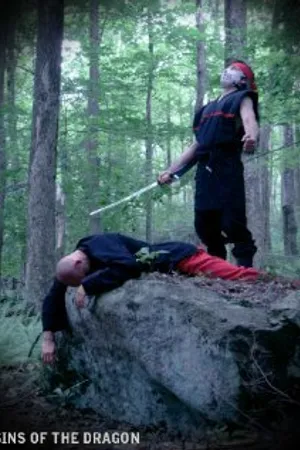 Постер к фильму Sins of the Dragon (2012)