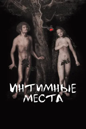 Постер к фильму Интимные места (2013)