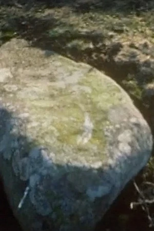 Постер к фильму Wales Stone Circles (1981)