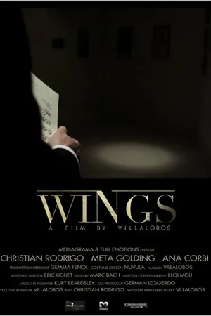 Постер к фильму Wings (2013)