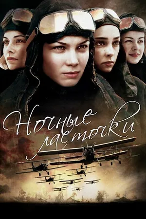 Постер к сериалу Ночные ласточки (2013)