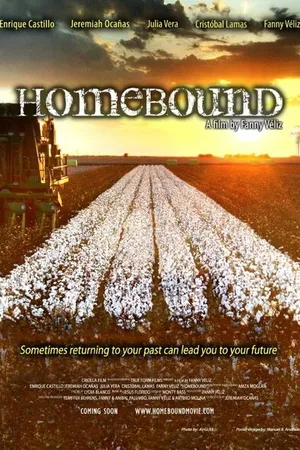 Постер к фильму Homebound (2013)