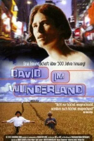 Постер к фильму Давид в стране чудес (1998)