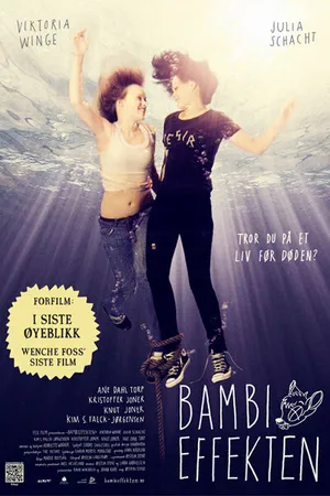 Постер к фильму Эффект Бэмби (2011)