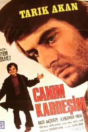 Постер к фильму Дорогой брат (1973)
