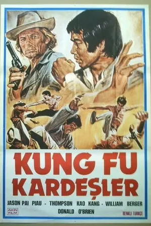 Постер к фильму Братья кунг-фу на диком западе (1973)