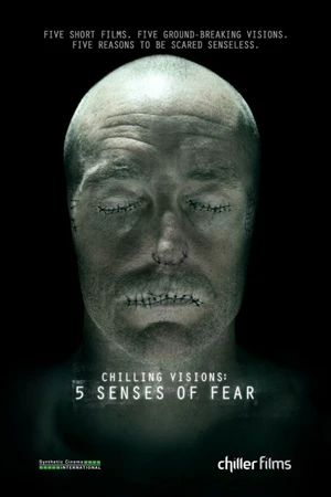 Постер к фильму 5 чувств страха (2013)