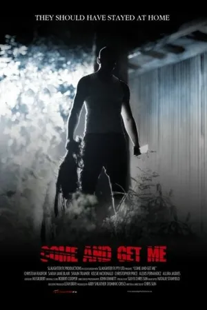 Постер к фильму Приди и получи меня (2011)