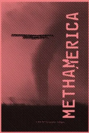 Постер к фильму Methamerica (2012)