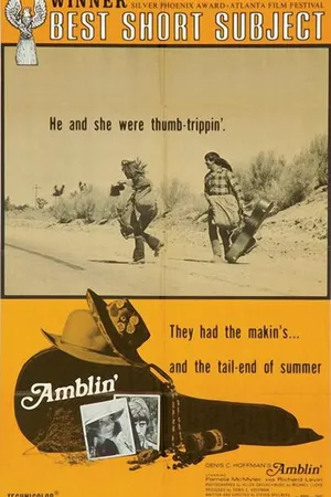 Постер к фильму Бредущие (1968)