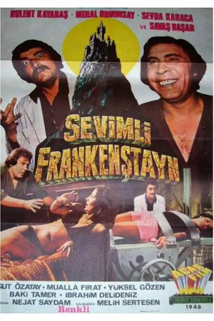 Постер к фильму Sevimli Frankenstayn (1975)