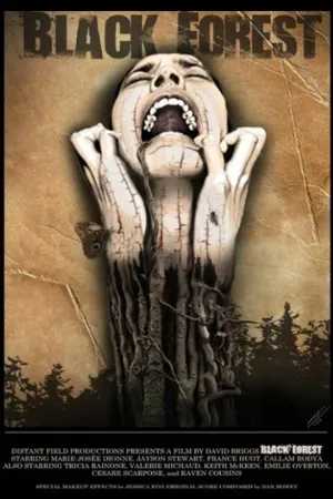 Постер к фильму Black Forest (2015)
