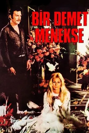 Постер к фильму Bir Demet Menekse (1973)
