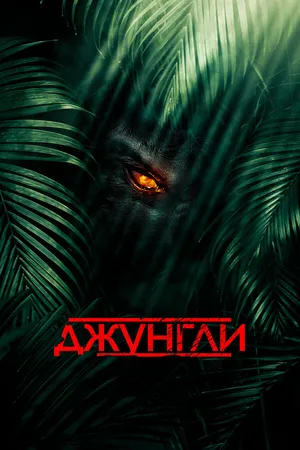 Постер к фильму Джунгли (2013)