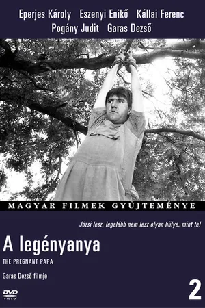 Постер к фильму A legényanya (1989)