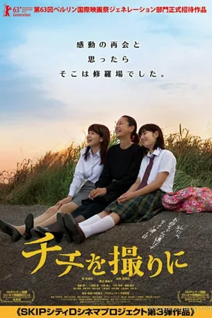 Постер к фильму Запечатлеть отца (2012)