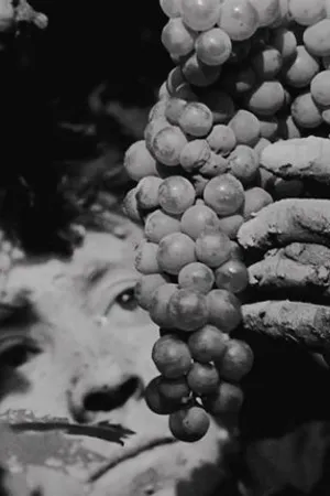 Постер к фильму Acariño galaico (De barro) (1995)