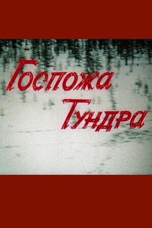 Постер к фильму Госпожа Тундра (1986)