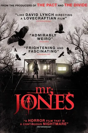 Постер к фильму Мистер Джонс (2013)