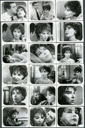 Постер к сериалу Фестиваль (1963 - 1964)