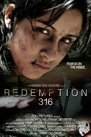 Постер к фильму Redemption 316 (2012)