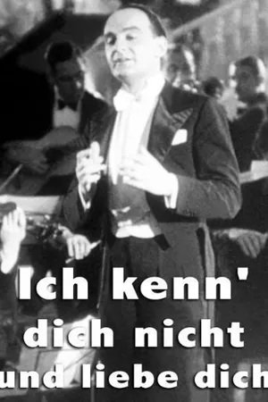 Постер к фильму Ich kenn' dich nicht und liebe dich (1934)