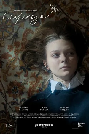 Постер к фильму Стрекоза (2024)