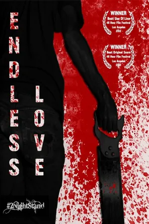 Постер к фильму Endless Love (2012)