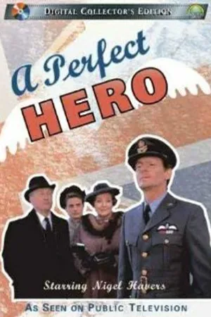 Постер к сериалу Идеальный герой (1991)